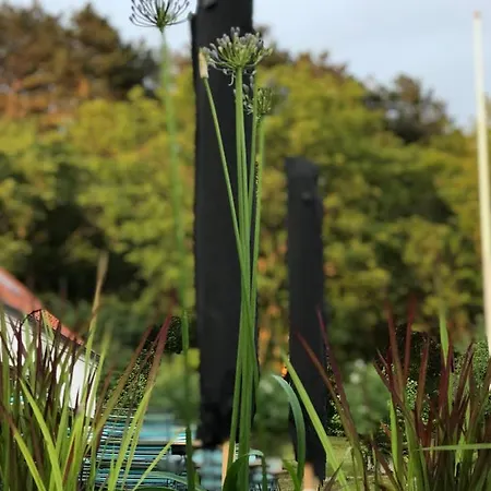 Ibsens Gaard Maison d'hôtes *