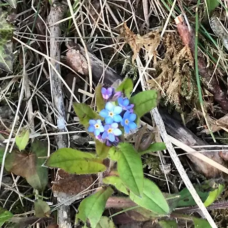 Maison d'hôtes Ibsens Gaard
